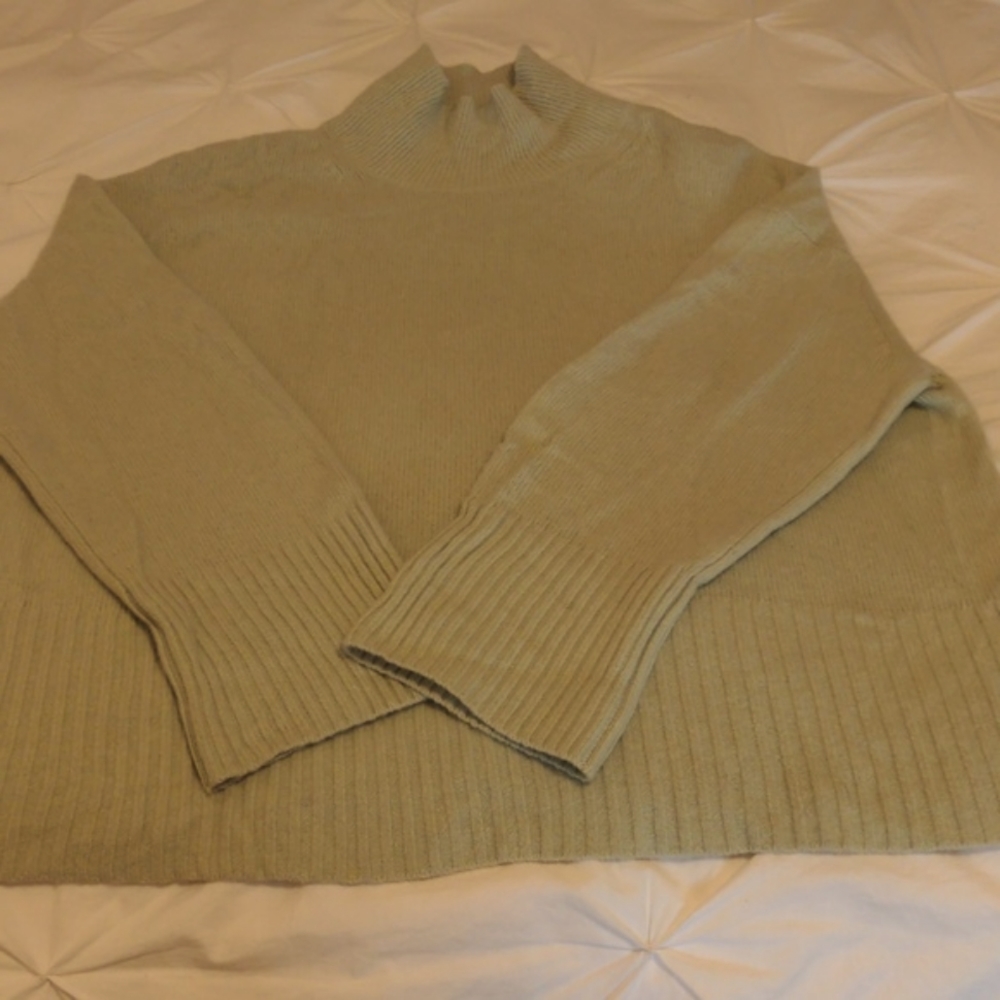 Everlane Sage Green Turtleneck Sweater